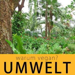 warum vegan? Umwelt | kohlundkarma