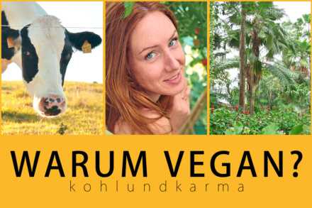 warum vegan? | kohlundkarma